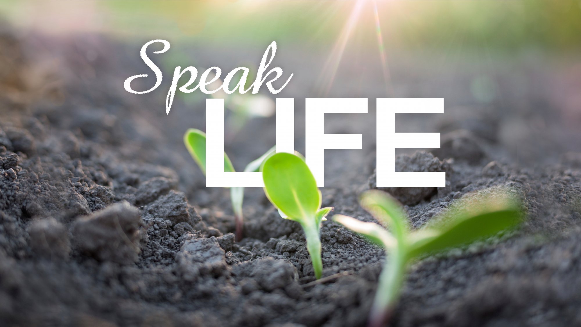 Deep Dive Dinner Conversation