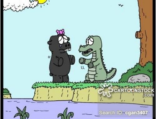 A Frikkin Hashtag: #AnimalExcuses