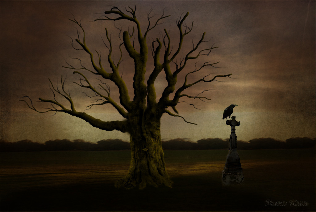 death grave racism south africa