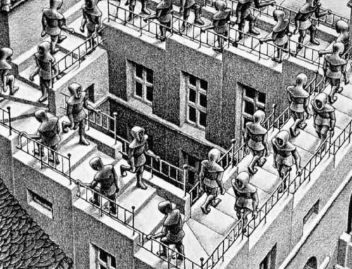 Endless Questions and the answers Brett Fish gives to them