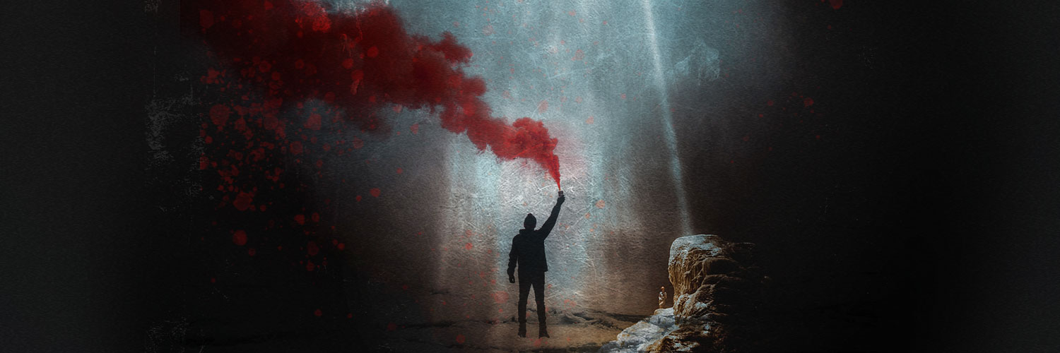 surviving the lockdown