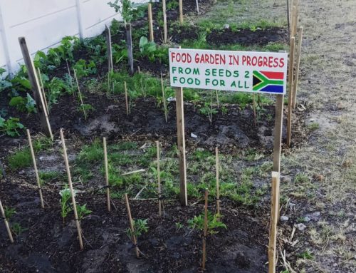 The Little Garden That Could: Revisited